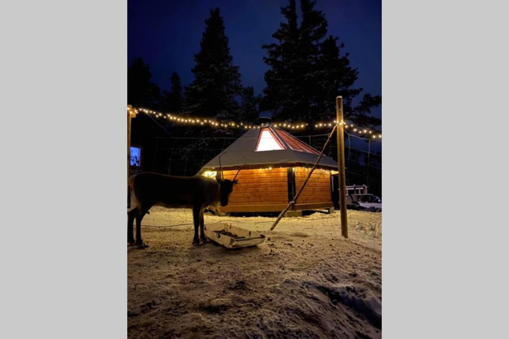 Northernlight Cabin Kiruna Eksteriør billede